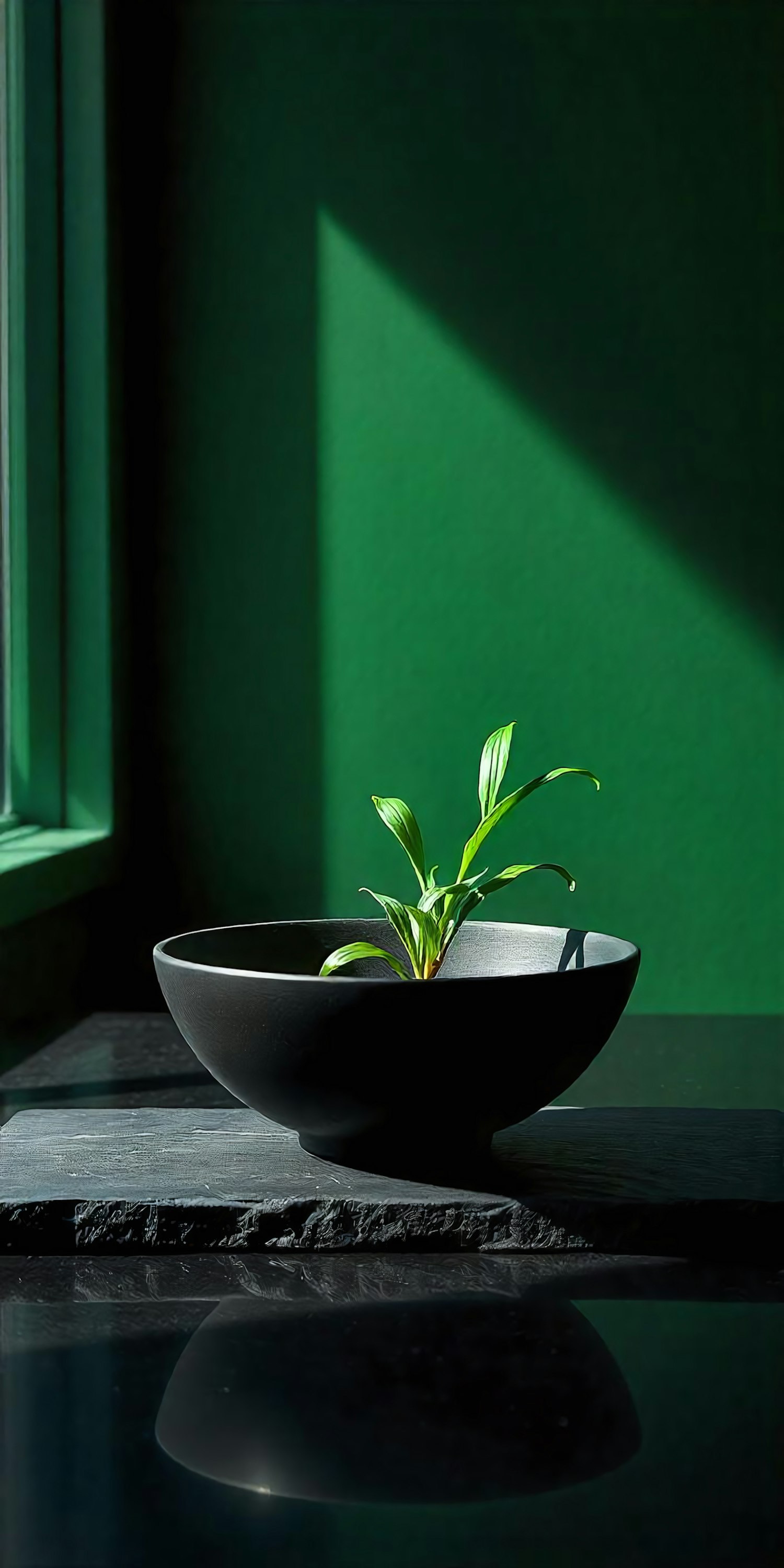 Minimalist Green Plant Composition