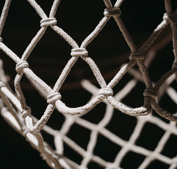Intricate Fiber Net