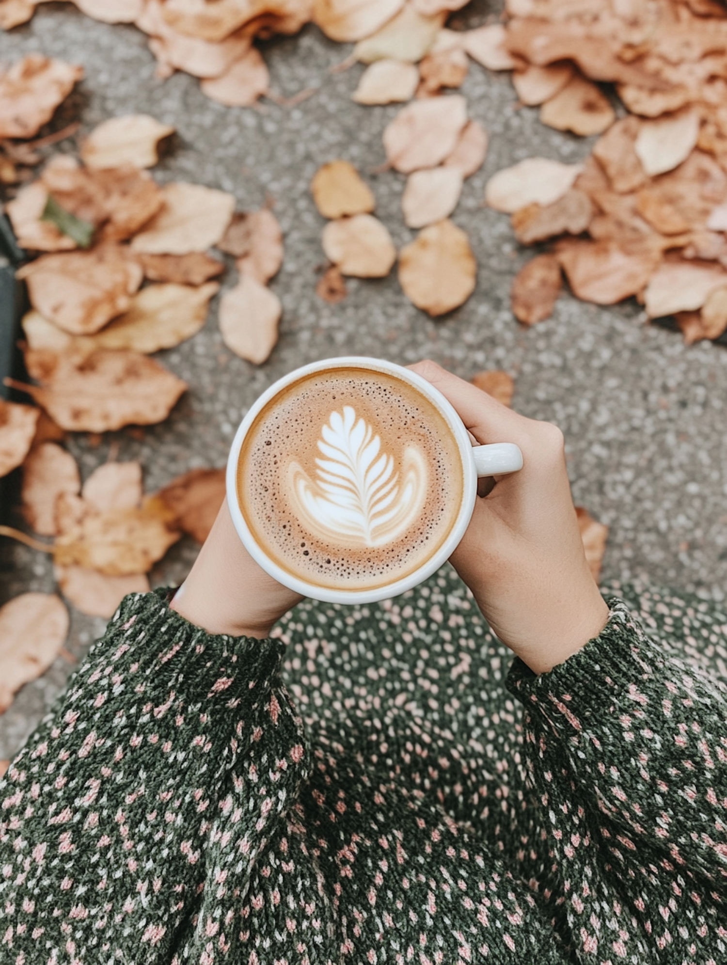 Cozy Autumn Coffee Moment