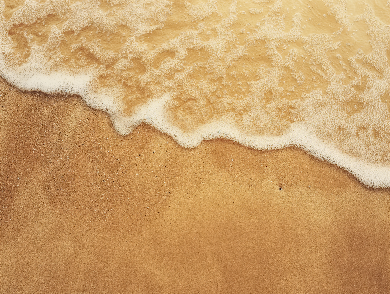 Tranquil Sands and Ocean's Edge