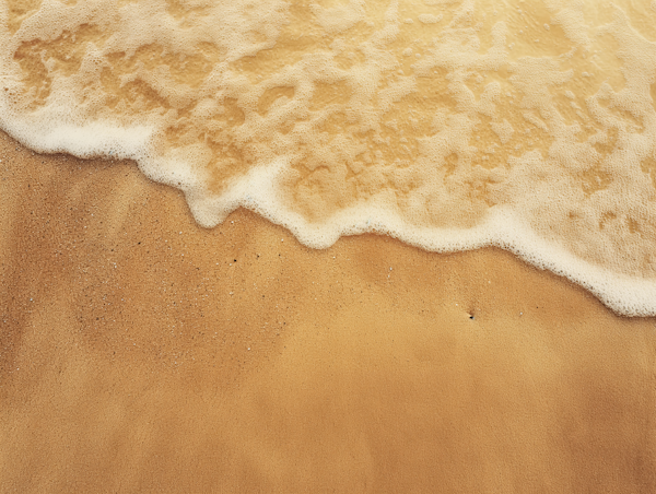 Tranquil Sands and Ocean's Edge