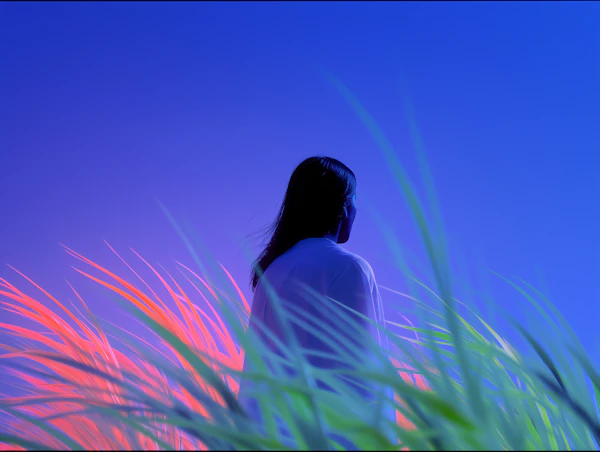 Serene Grassland Scene