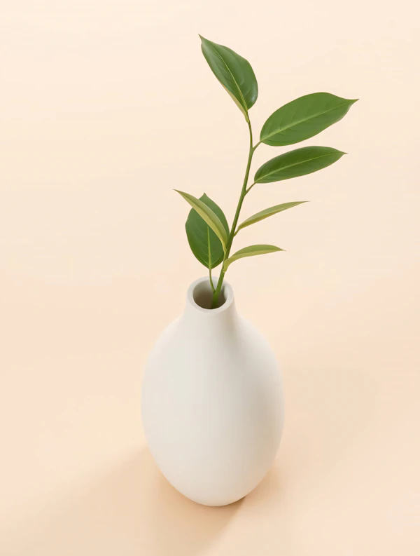 Minimalist Vase Design