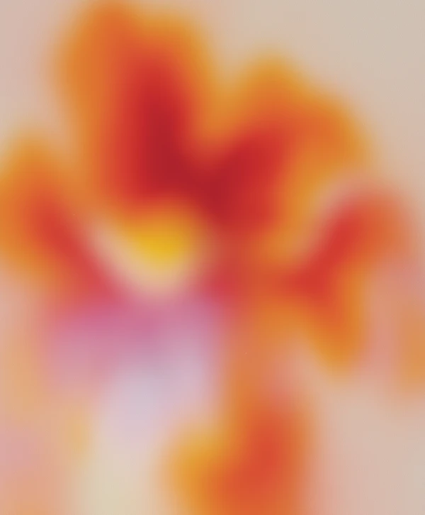 Warm Gradient Abstract