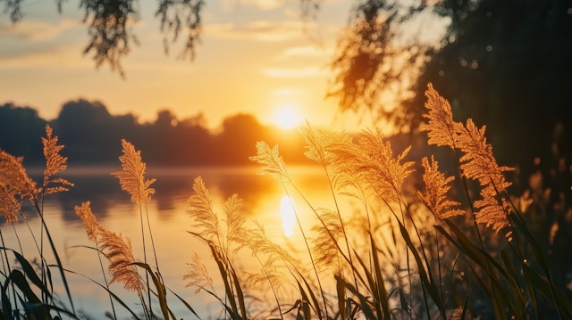 Serene Sunset by the Lake