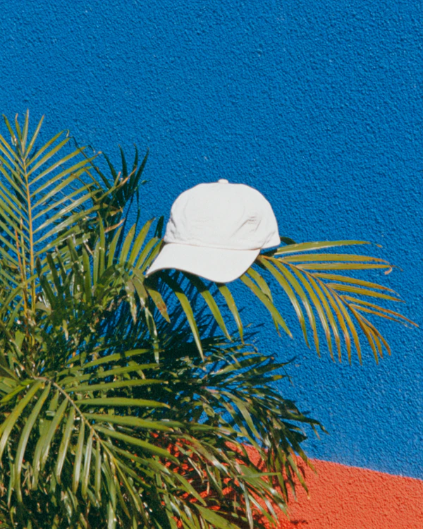 Tropical Cap Display