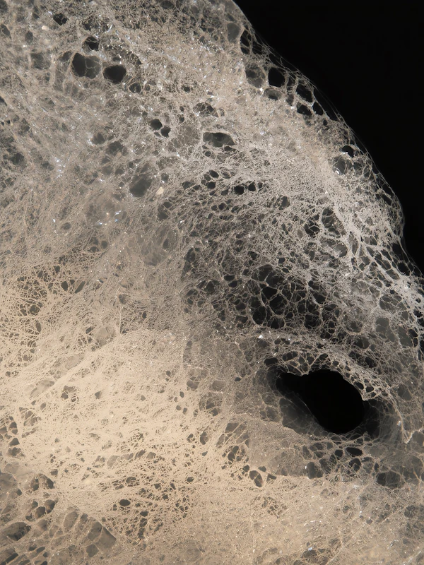 Intricate Web Texture