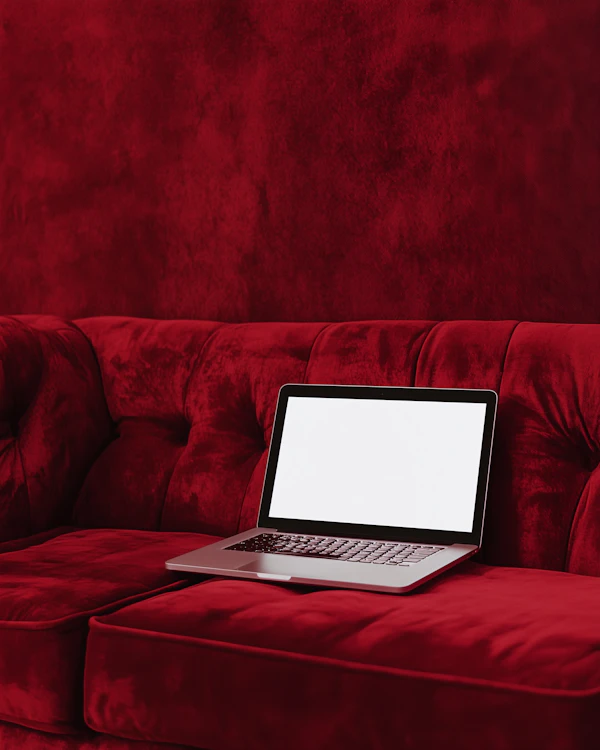 Laptop on Velvet Sofa