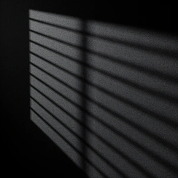 Shadow Lines on Surface