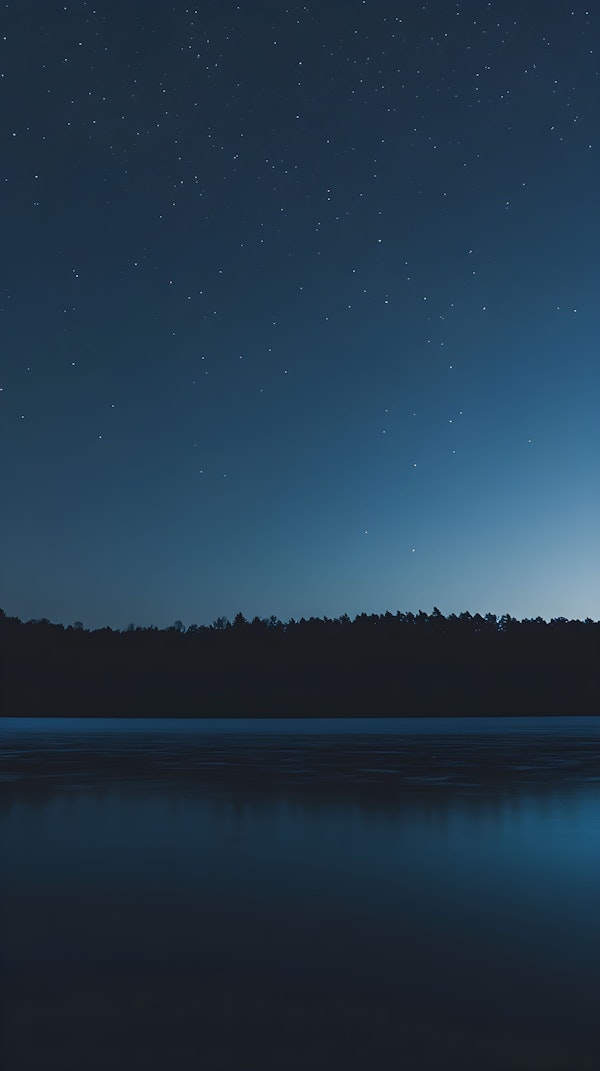 Serene Nighttime Landscape