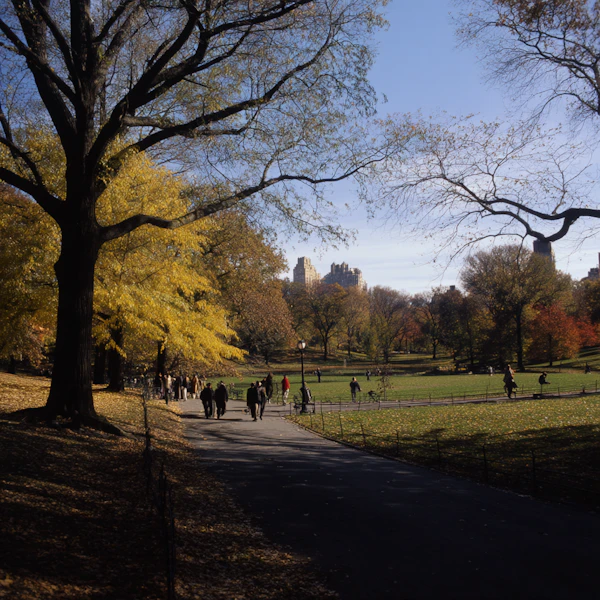 Autumn Park Scene