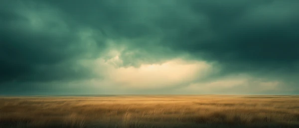 Stormy Grassland Scene
