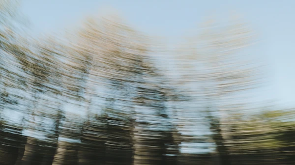 Abstract Trees in Motion