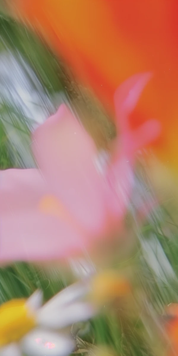 Abstract Floral Close-Up