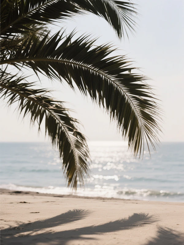 Serene Beach Scene