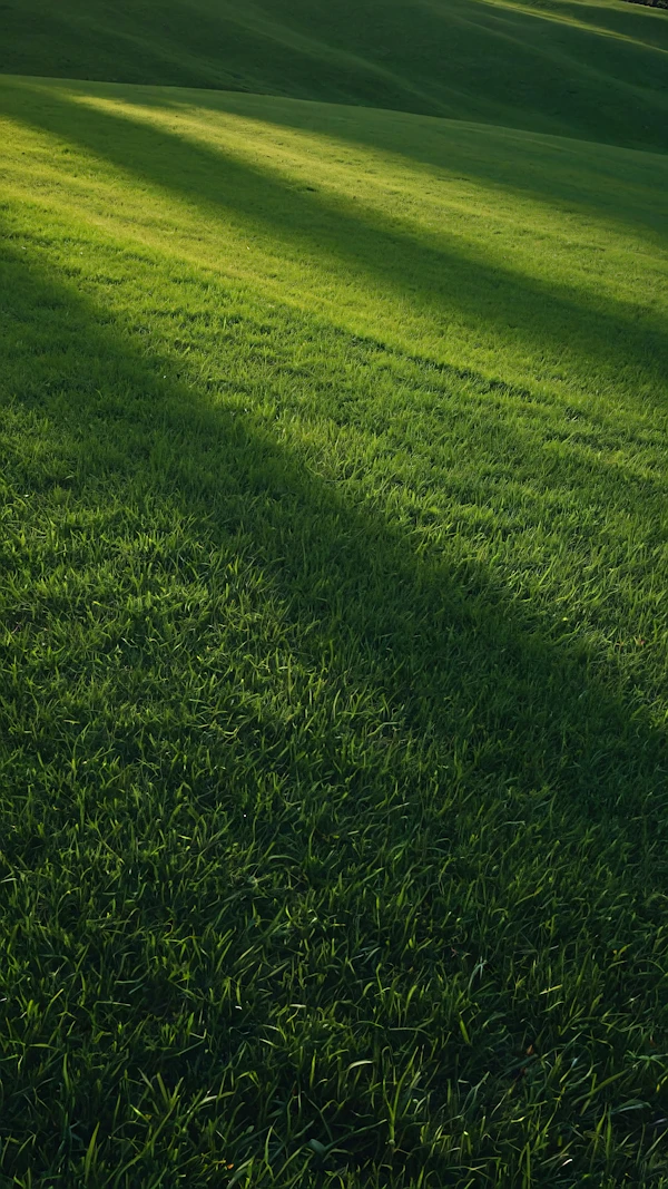 Serene Green Landscape