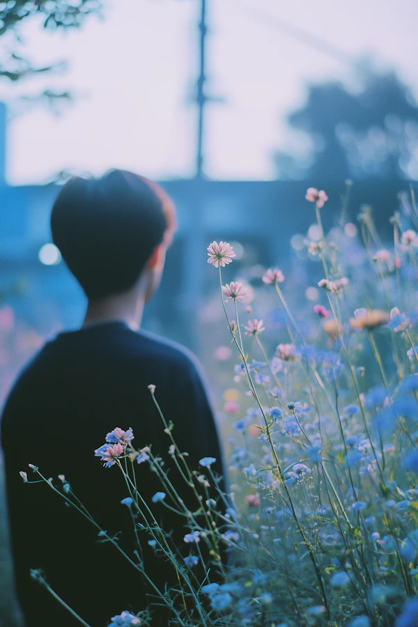 Contemplation in Wildflowers