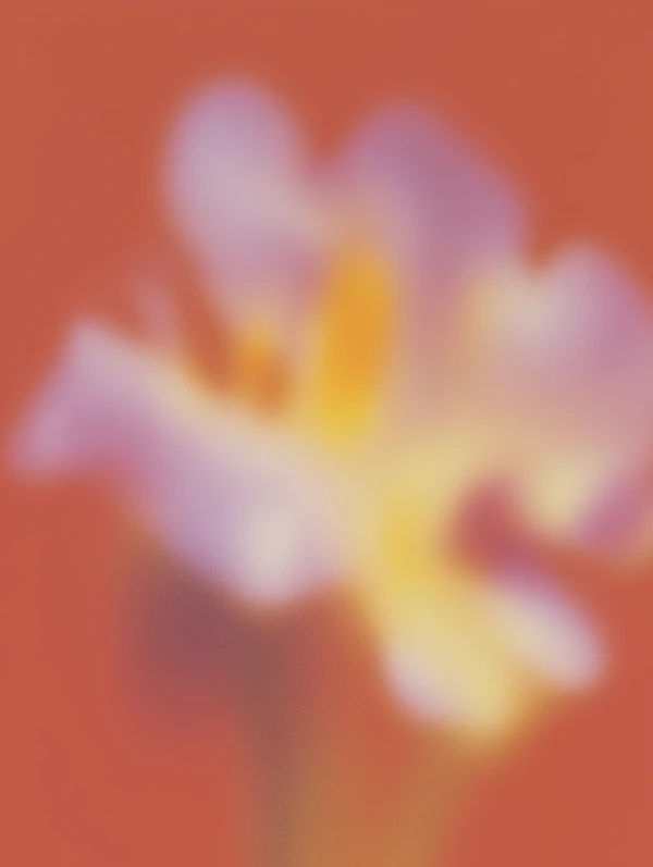Abstract Flower Art