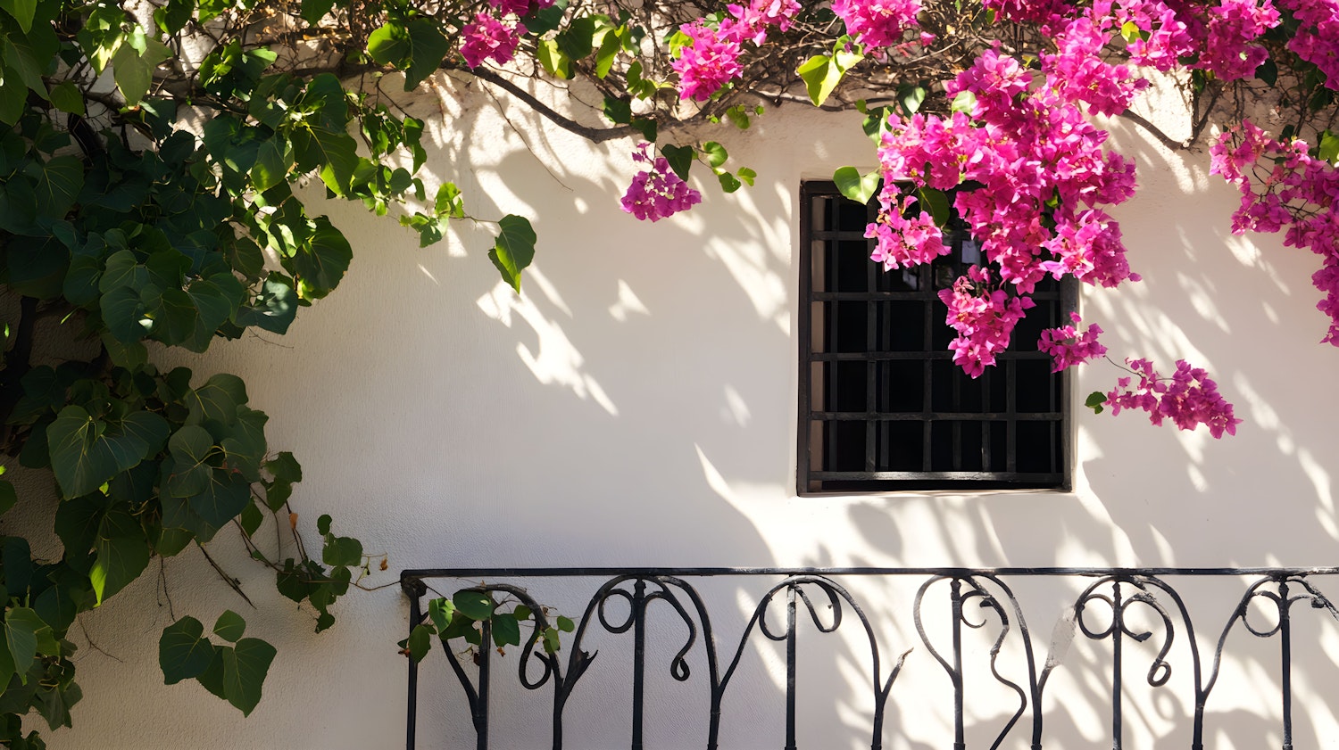 Mediterranean Aesthetic with Bougainvillea