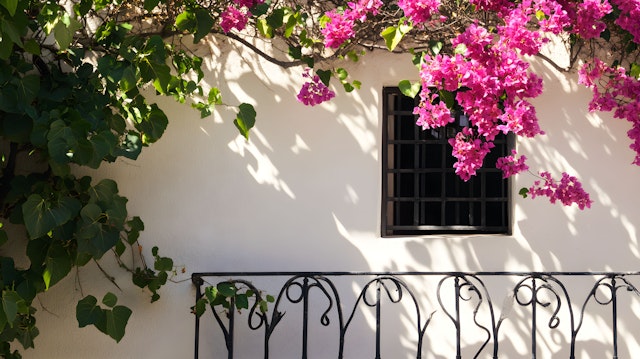 Mediterranean Aesthetic with Bougainvillea