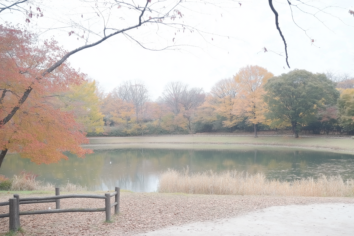 Serene Autumn Landscape