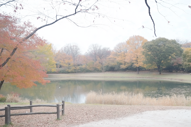 Serene Autumn Landscape