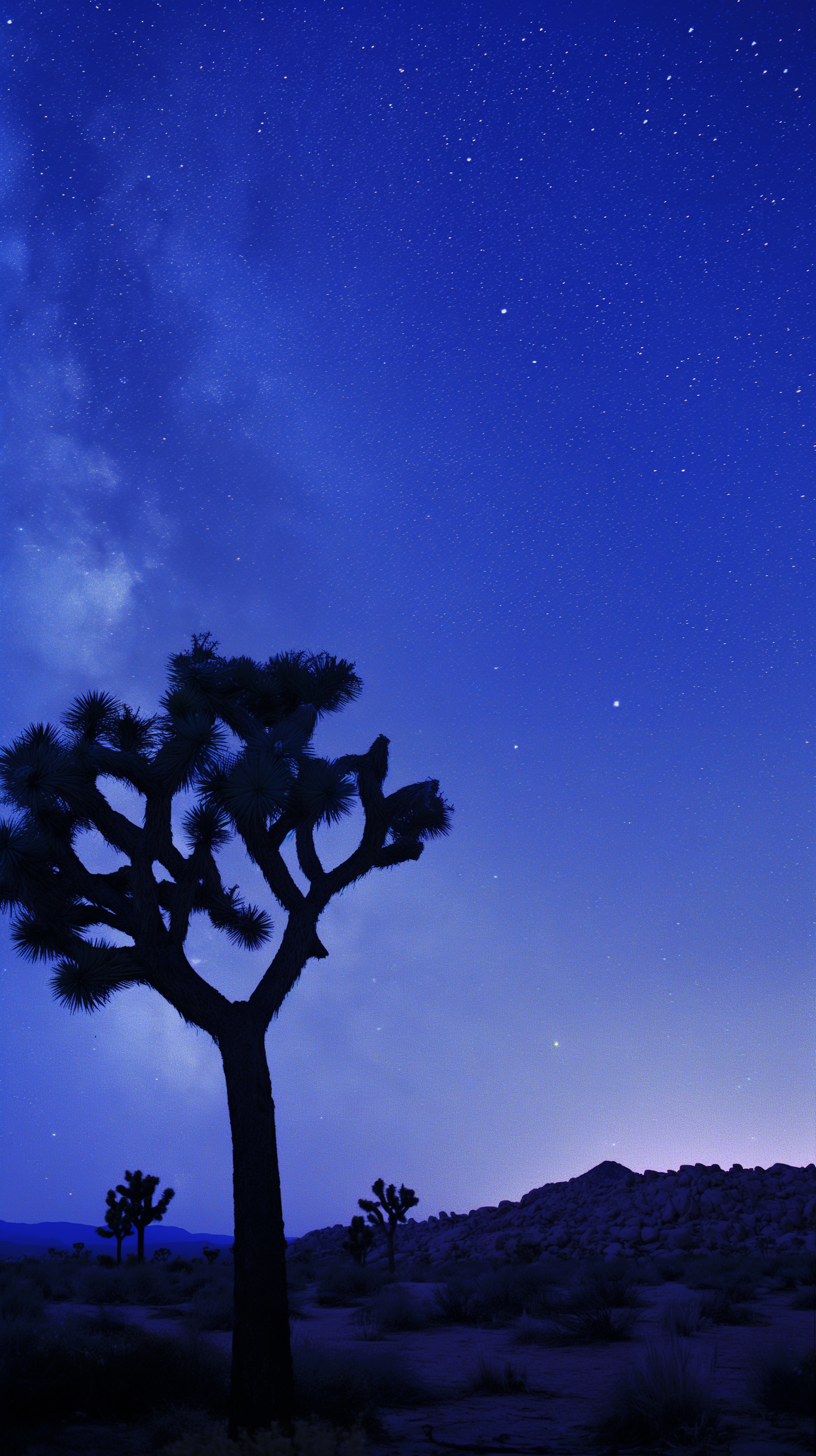 Starry Night over the Desert