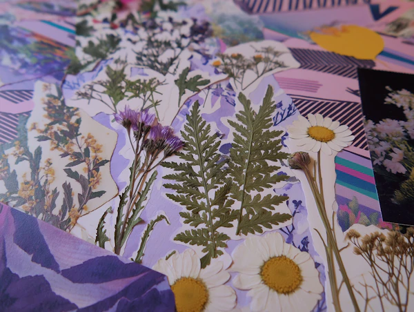 Pressed Flower Collage
