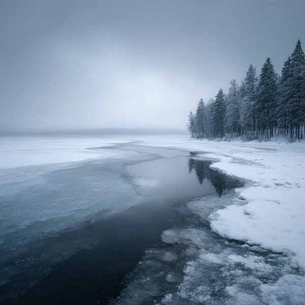 Winter Lake Serenity