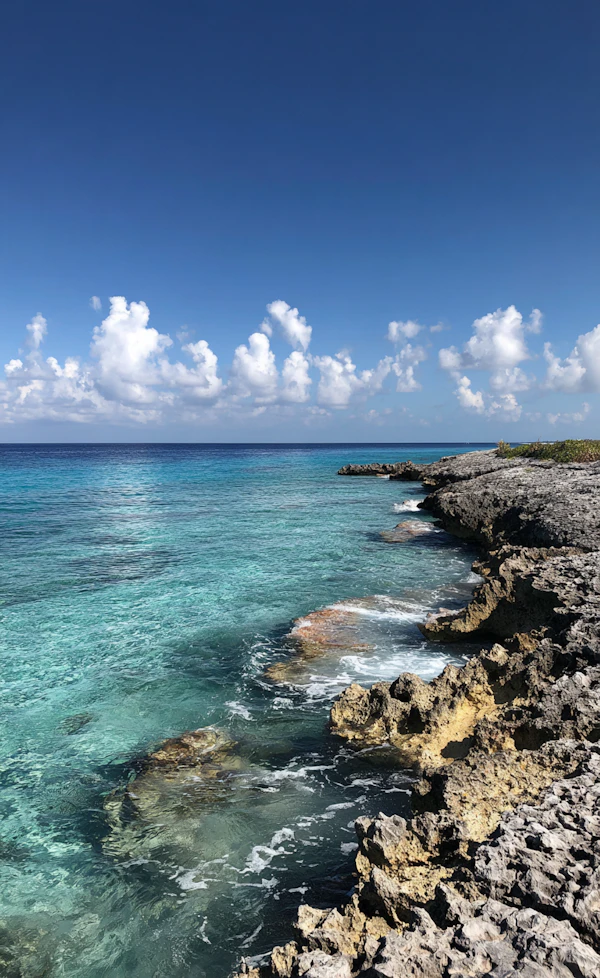 Serene Coastal View