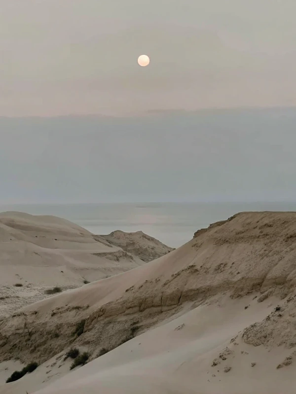 Serene Desert Landscape