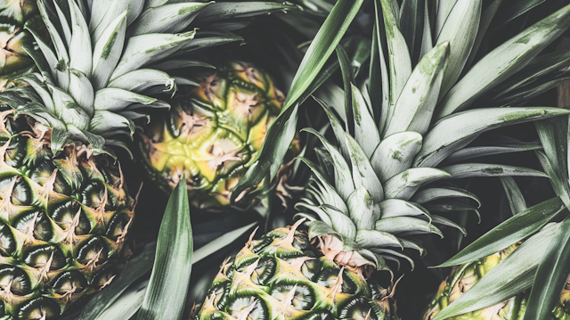 Close-up of Pineapples