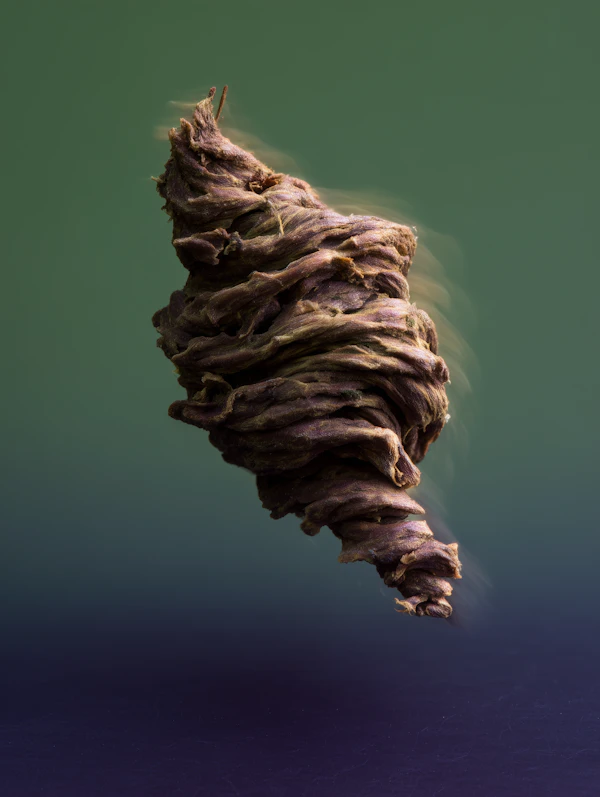 Organic Structure Close-Up