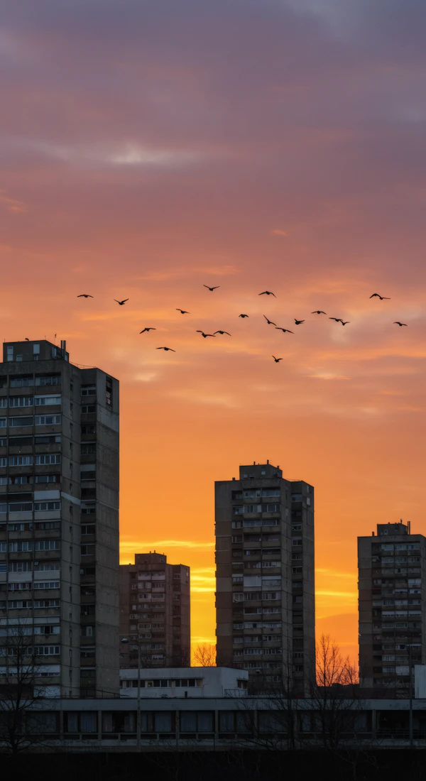 Urban Sunset Scene