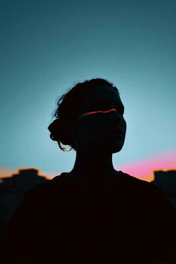 Silhouette at Twilight