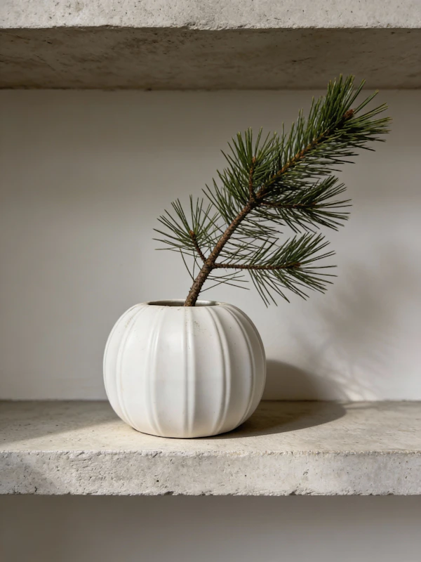 Minimalist Vase Scene