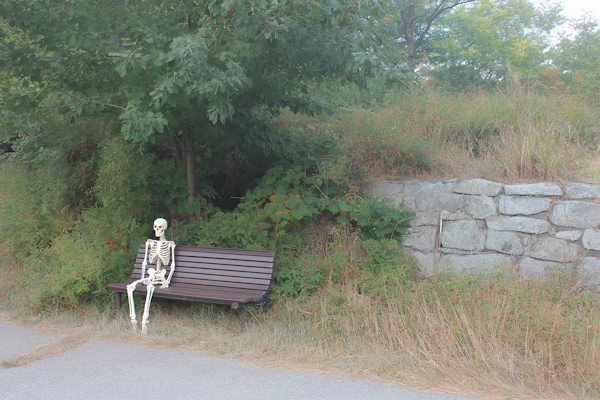 Skeleton on a Park Bench