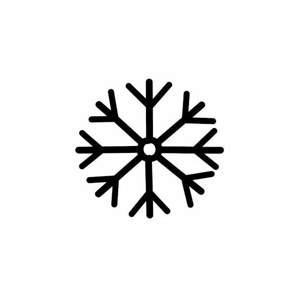 Black Snowflake Icon