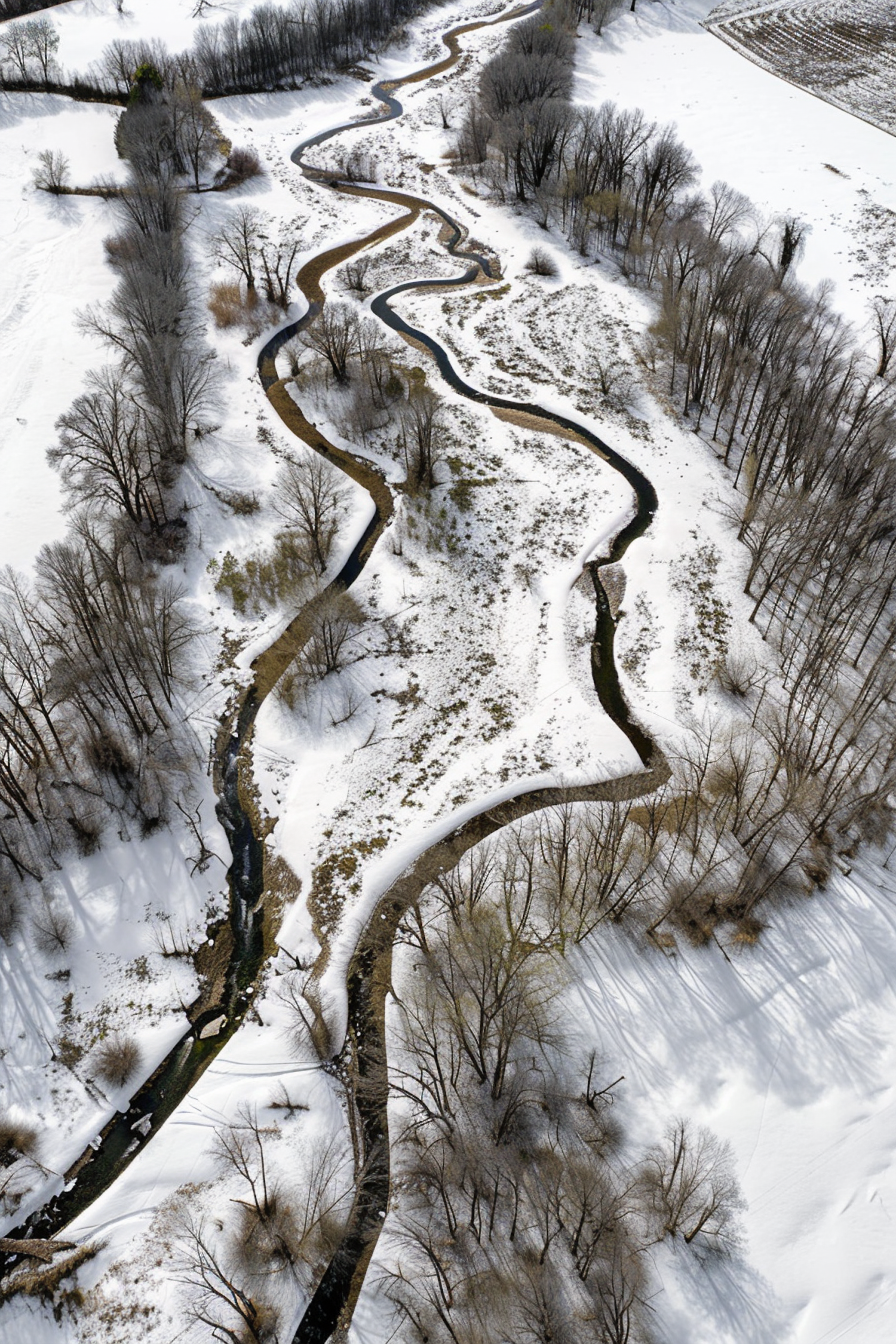 Snow-covered Meandering River