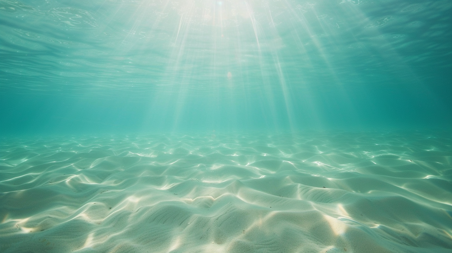 Underwater Serenity