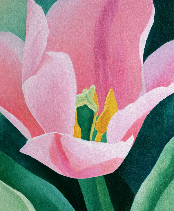 Close-Up Painted Tulip