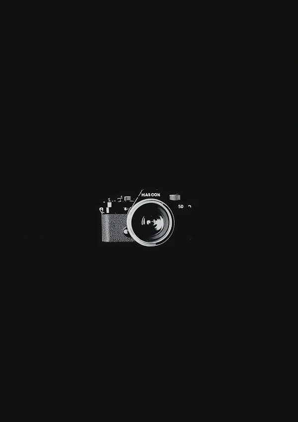 Vintage Camera Display