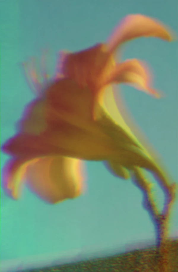 Surreal Flower Close-Up