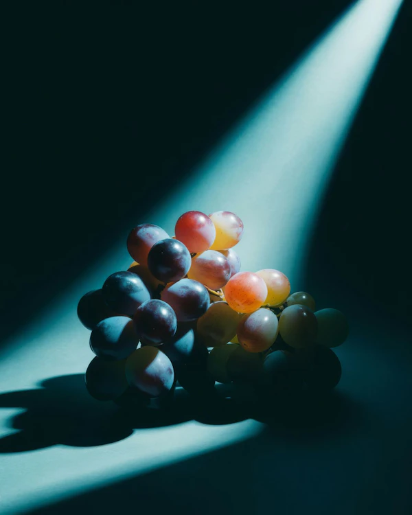 Grapes in Spotlight