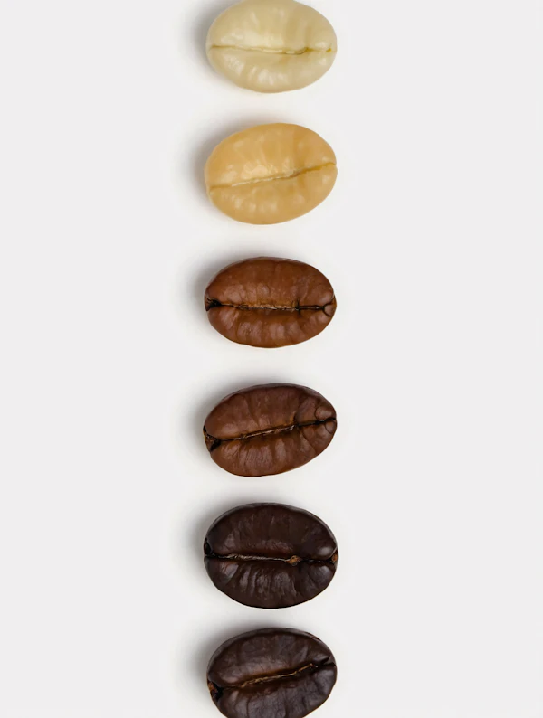 Coffee Bean Roast Gradient