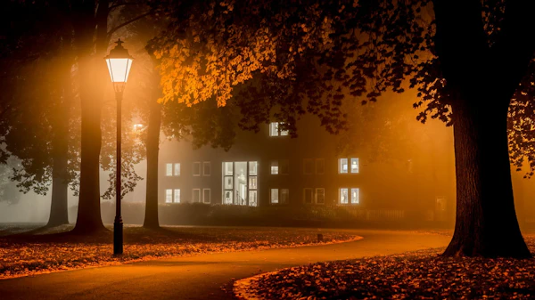 Serene Nighttime Park