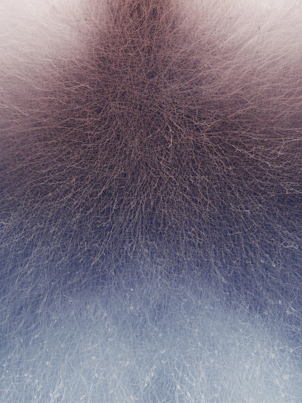 Abstract Neural Web