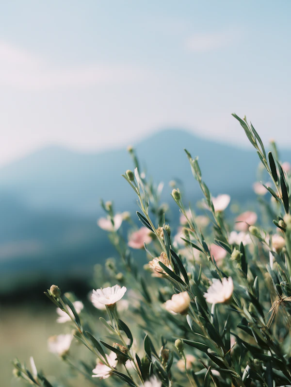 Blooming Flowers Scene