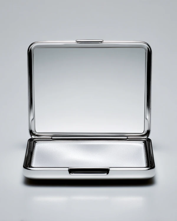 Sleek Metallic Compact Case
