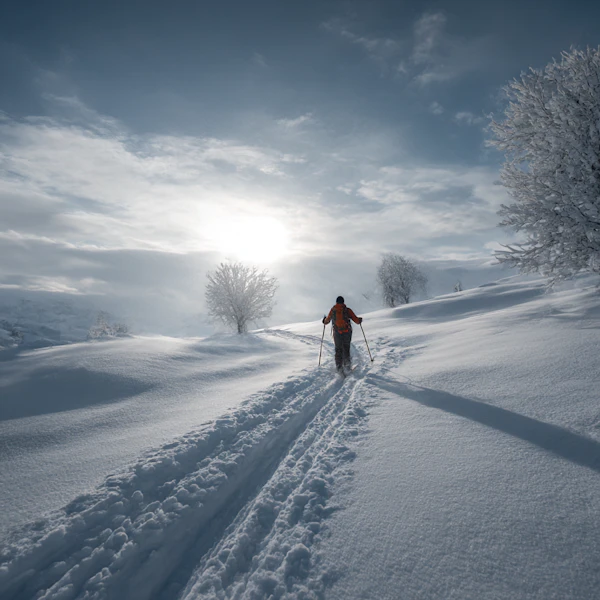 Lone Skier in Snow